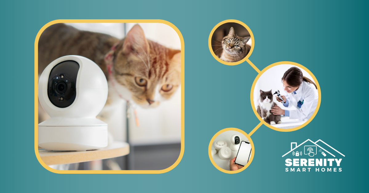 Solution Spotlight: Local Smart Pet Monitoring for Aging Cats