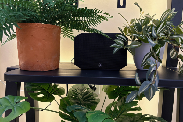 Loxone passive wall speaker nestled between a terracotta fern and a variegated tradescantia on a dark shelf, with monstera leaves visible below and warm bias lighting behind